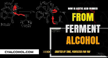 Fermentation to Acetic Acid: The Transformation of Alcohol Explained