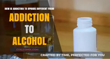 Opioids vs Alcohol: Different Addictions, Different Mechanisms