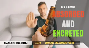Alcohol Absorption and Excretion: Understanding the Body's Processing Journey