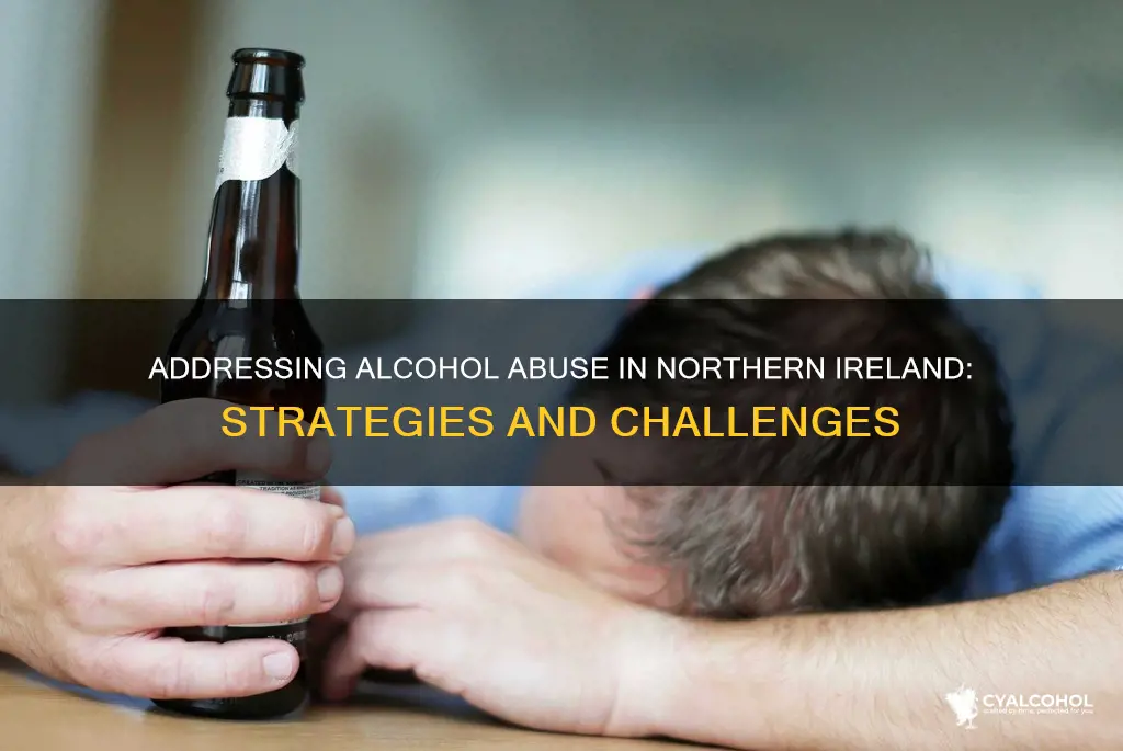 how is alcohol abuse being addressed in northern ireland