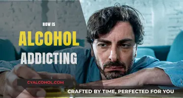 Understanding Alcohol Addiction: Causes, Effects, and Path to Recovery