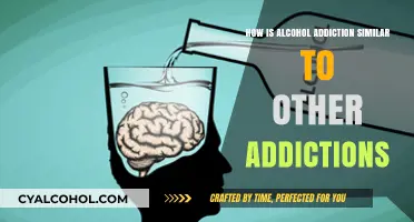 Alcohol Addiction Parallels: Shared Traits with Other Substance Dependencies
