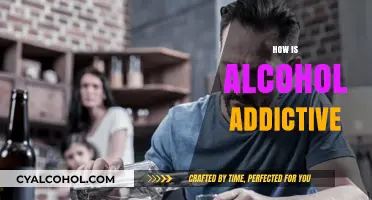 Understanding Alcohol Addiction: Causes, Effects, and the Cycle of Dependency