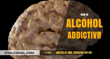 Understanding Alcohol Addiction: How It Hooks and Hijacks the Brain