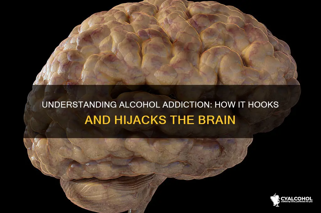how is alcohol addictivr