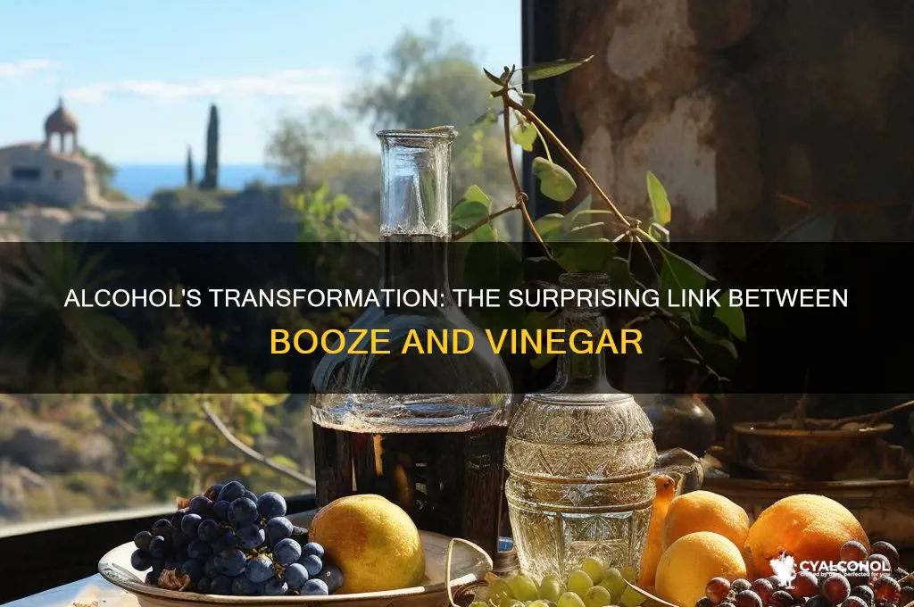 how is alcohol associated with vinegar