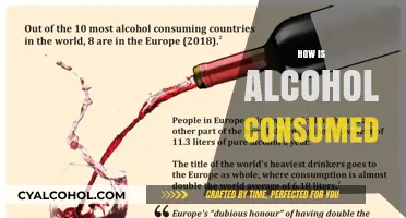 Exploring Alcohol Consumption: Methods, Traditions, and Global Drinking Practices