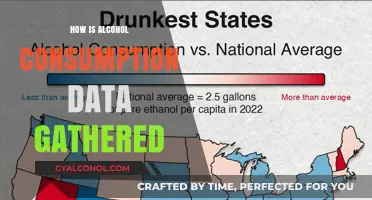 Unveiling Alcohol Consumption Data: Methods, Sources, and Collection Techniques