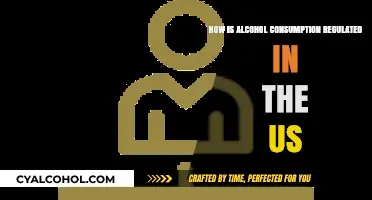 Understanding US Alcohol Regulations: Laws, Licensing, and Enforcement Explained