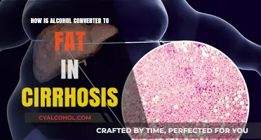Alcohol to Fat Conversion in Cirrhosis: Understanding the Metabolic Process