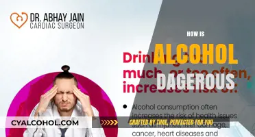 The Hidden Dangers of Alcohol: Risks, Health Impacts, and Consequences