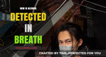 Understanding Breath Alcohol Detection: Science Behind Breathalyzer Technology