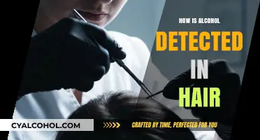 Detecting Alcohol in Hair: Methods, Accuracy, and Testing Process Explained