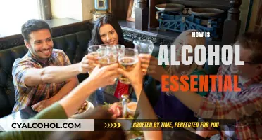 Alcohol's Surprising Role in Culture, Health, and Social Connections