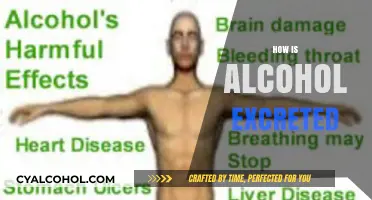 Understanding Alcohol Metabolism: How Your Body Eliminates Alcohol