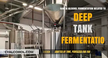 Deep Tank Fermentation: Alcohol's Ancient Secret