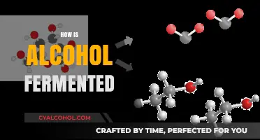 The Science Behind Alcohol Fermentation: Unveiling the Magical Process