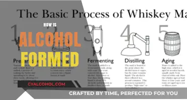 The Science Behind Alcohol: Understanding Its Formation and Process