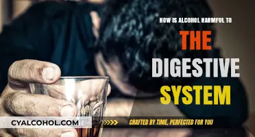 Alcohol's Impact: How It Damages Your Digestive System and Health