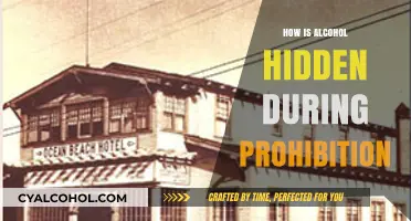 Clever Concealment: How Alcohol Was Hidden During Prohibition Era