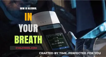Understanding How Alcohol Appears in Your Breath: Science Explained