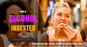 Understanding Alcohol Consumption: Methods and Effects of Ingestion Explained