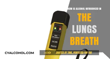 Alcohol in Breath: How It Enters and Affects the Lungs