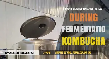 Mastering Kombucha Fermentation: Controlling Alcohol Levels for Perfect Brewing