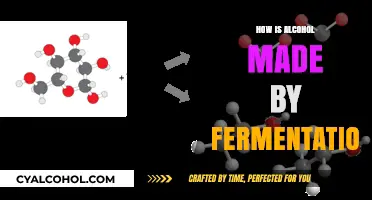 Fermentation Unveiled: The Art and Science of Crafting Alcoholic Beverages