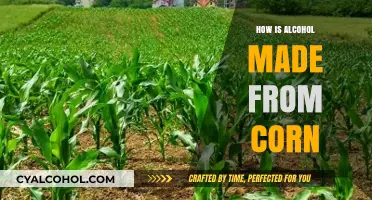 From Corn to Cocktail: The Alcohol Production Process Explained