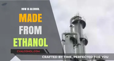 From Ethanol to Alcohol: The Science Behind Your Favorite Drinks