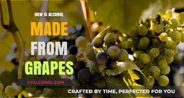From Vineyard to Glass: The Art of Making Alcohol from Grapes