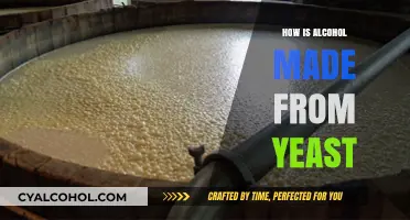 Yeast's Role in Alcohol Production: A Fermentation Journey Explained