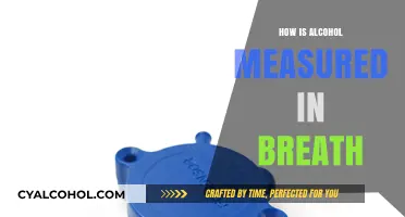 Understanding Breath Alcohol Measurement: Methods and Accuracy Explained