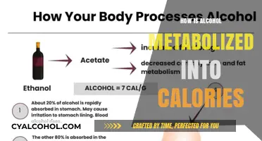 Alcohol's Caloric Journey: How Your Body Metabolizes Every Drink