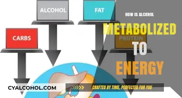 Alcohol Metabolism: Unlocking Energy Conversion in the Human Body