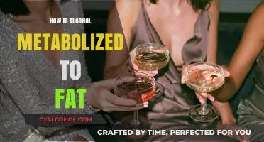 Alcohol's Journey: How It Turns into Body Fat Explained