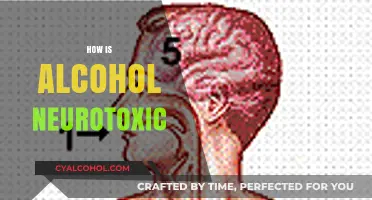 Alcohol's Dark Side: Uncovering Its Neurotoxic Effects on the Brain