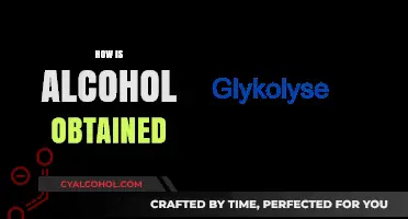 Exploring the Process: How Alcohol is Obtained from Fermentation to Distillation