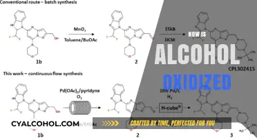 Understanding Alcohol Oxidation: The Chemical Process Behind Metabolism
