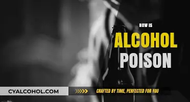 Understanding Alcohol Poisoning: Causes, Symptoms, and Prevention Strategies