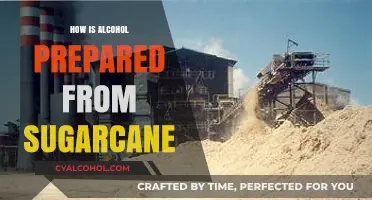 From Cane to Cocktail: The Art of Making Alcohol from Sugarcane