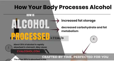 Understanding Alcohol Metabolism: How Your Body Processes Alcoholic Beverages