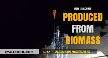 From Biomass to Booze: The Science of Alcohol Production