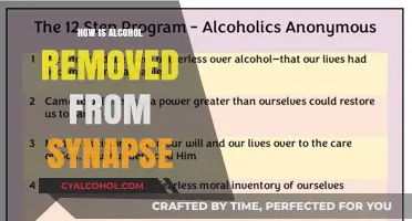Unraveling the Process: How Alcohol is Removed from Synapses