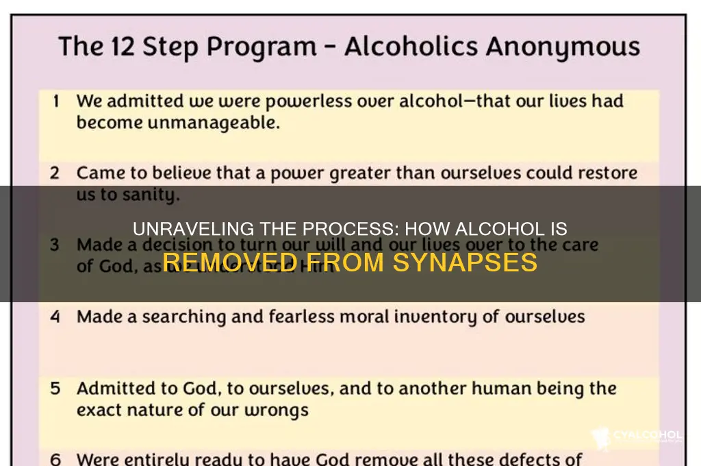 how is alcohol removed from synapse