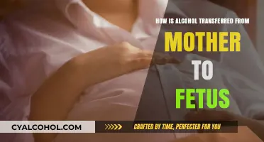 Alcohol's Journey: How It Transfers from Mother to Fetus