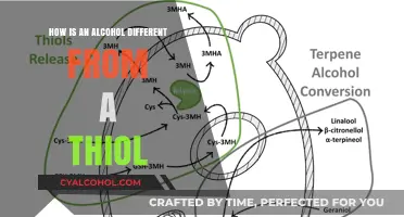 Alcohol vs. Thiol: Key Differences in Structure and Properties