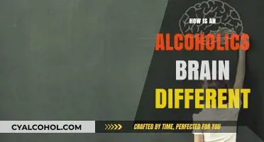 Alcohol's Impact: Unraveling the Unique Changes in an Alcoholic's Brain