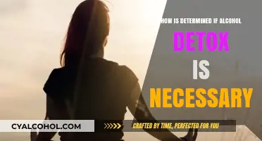 Is Alcohol Detox Needed? Key Factors to Determine Necessity